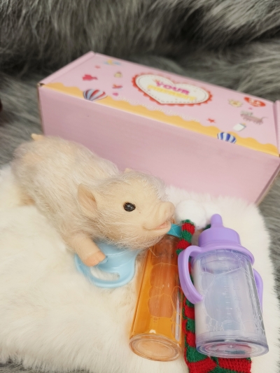 Силиконовая свинка реборн Plushie-3