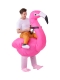 Фото: Надувной карнавальный костюм Всадник на фламинго FZ1666 Надувной карнавальный костюм Всадник на фламинго FZ1666